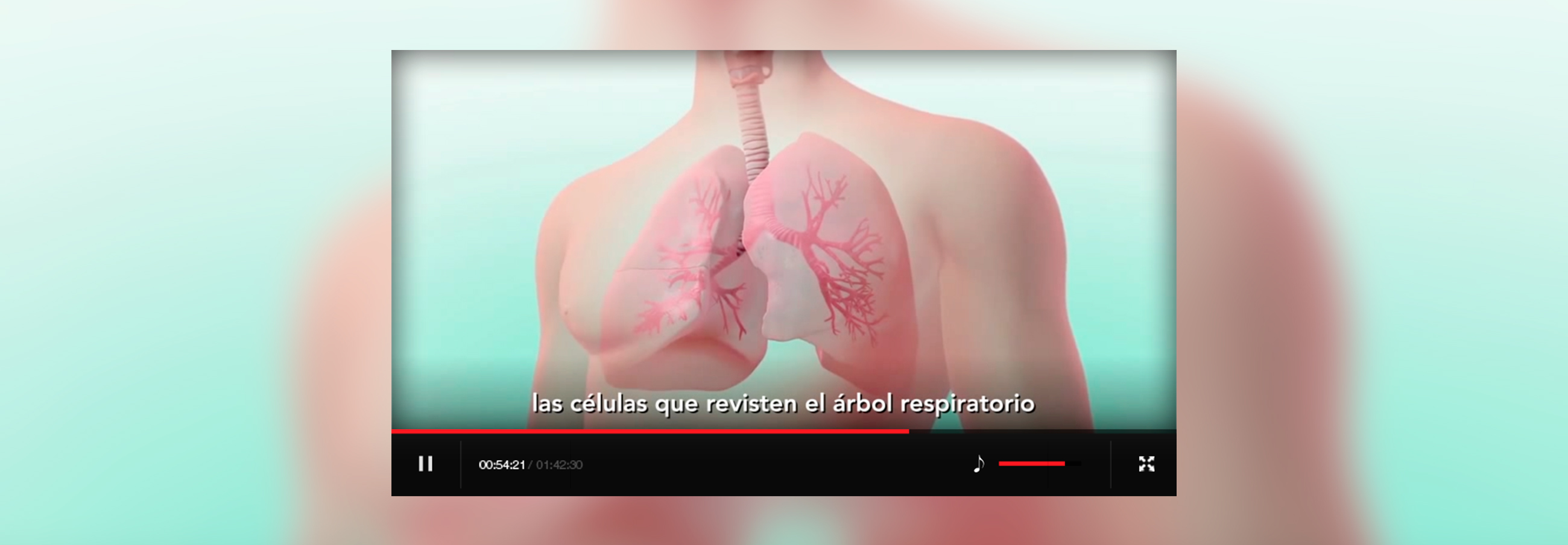 2_img-Vertex-Video